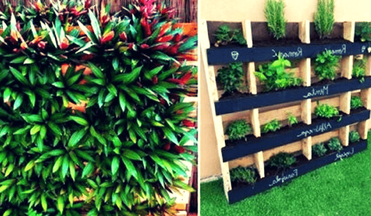 ¡Más ideas increíbles para hacer un jardín vertical con tan solo palets! ¡Encuentra el tuyo y ponte manos a la obra!